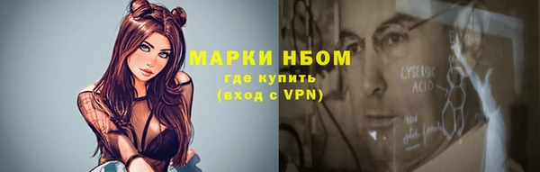 прущие грибы Алзамай