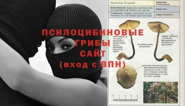первитин Алексин