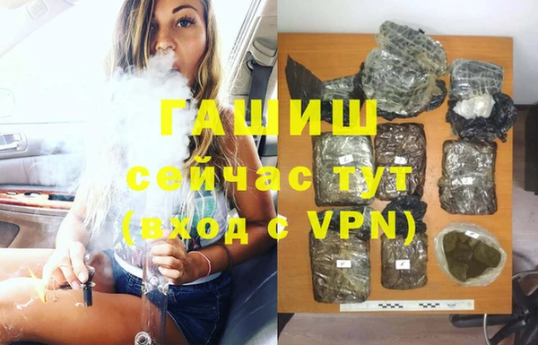 прущие грибы Алзамай