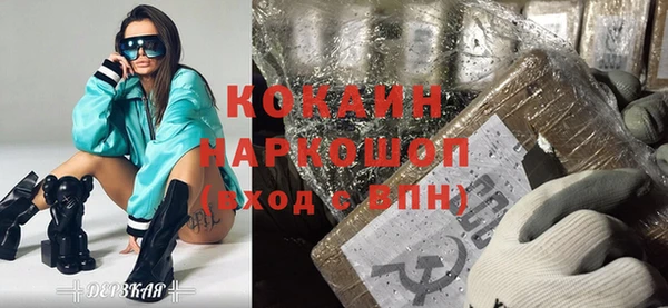 прущие грибы Алзамай