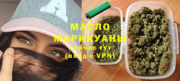 индика Приозерск