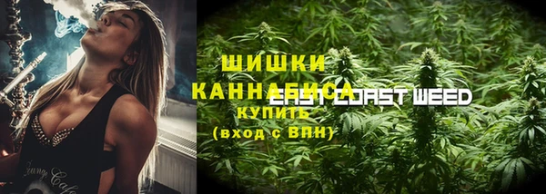 ГАЛЛЮЦИНОГЕННЫЕ ГРИБЫ Алексеевка