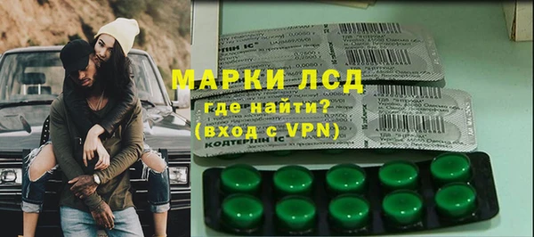прущие грибы Алзамай