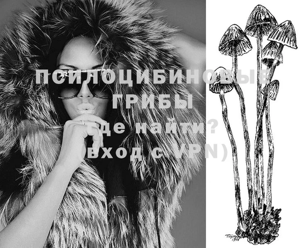 ГАЛЛЮЦИНОГЕННЫЕ ГРИБЫ Алексеевка