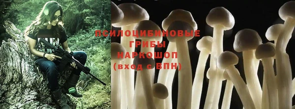 ГАЛЛЮЦИНОГЕННЫЕ ГРИБЫ Алексеевка