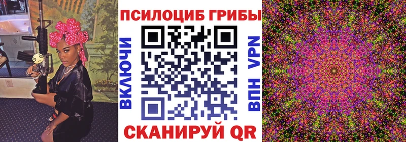 дарк нет формула  Заполярный  Галлюциногенные грибы Cubensis 