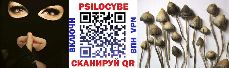 Псилоцибиновые грибы Magic Shrooms Заполярный